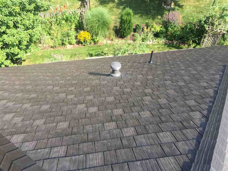 asphalt shingles