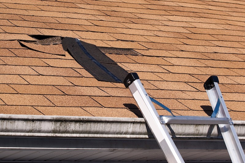 Residential Roofing Options: What’s Right for You? Roof Damage