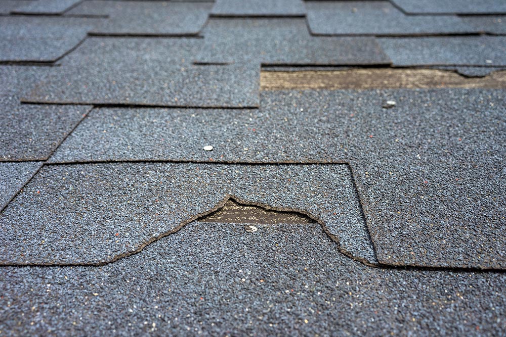 Granule loss on an asphalt shingles.