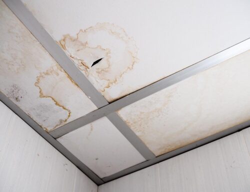 Problems Caused by Commercial Roof Leaks