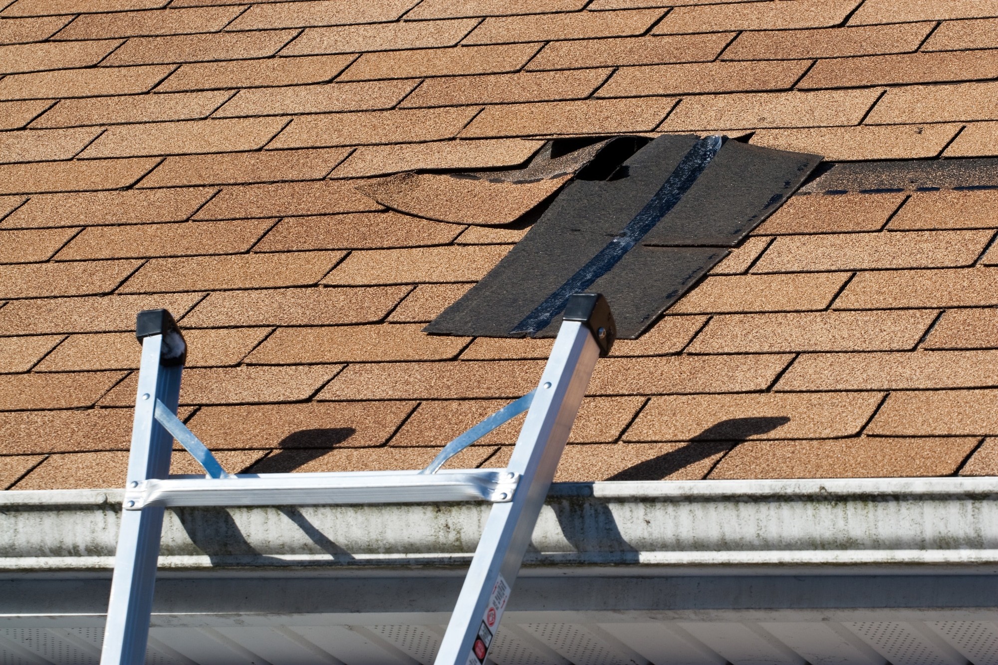 Roof Inspection