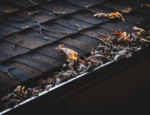 How to Clean a Gutter: DIY Tips and Professional Services