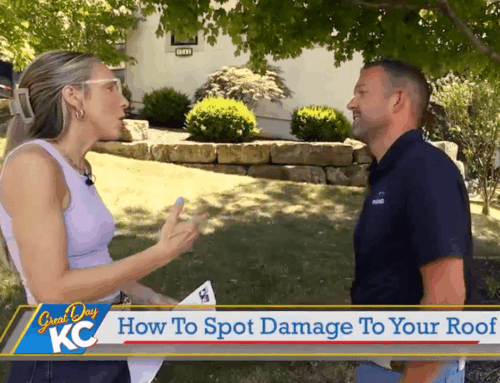 Spot Roof Damage Before It Gets Worse | KC Roofing Tips